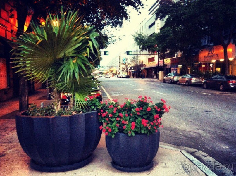 Майми - Доминикана