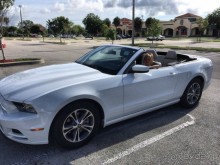 Майми - Доминикана