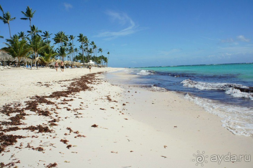 Майми - Доминикана