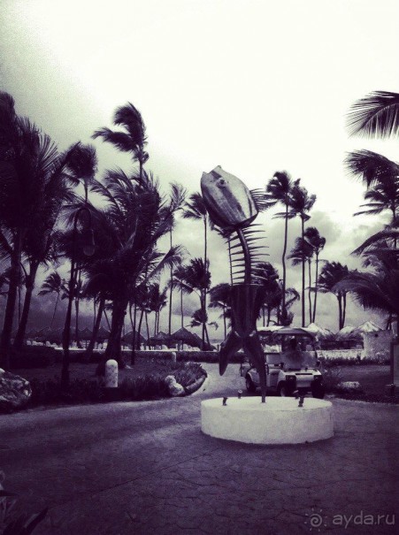 Майми - Доминикана