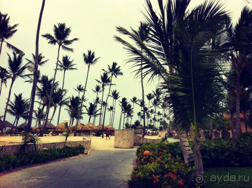 Майми - Доминикана