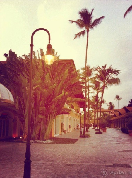 Майми - Доминикана