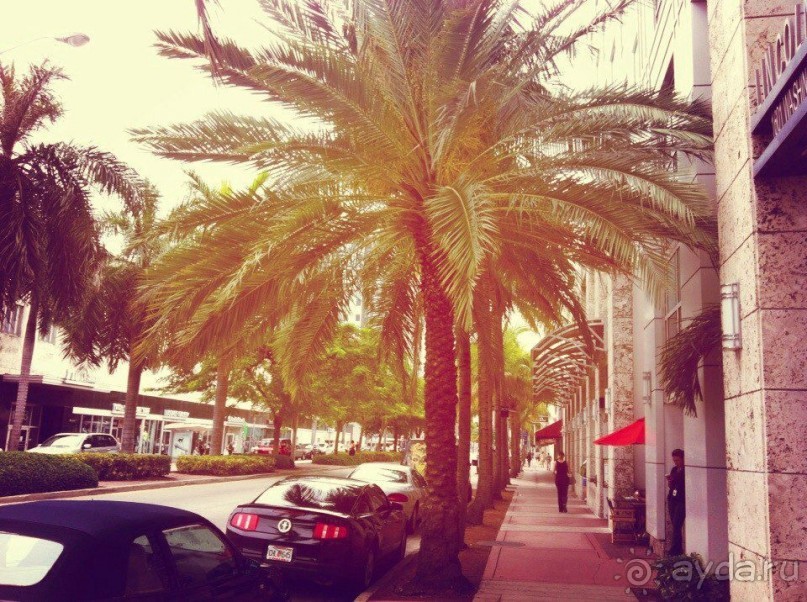 Майми - Доминикана