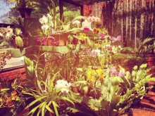 Цейлон или Благословенная земля Шри Ланка