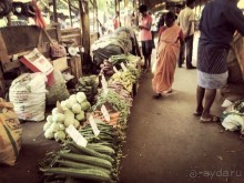 Цейлон или Благословенная земля Шри Ланка