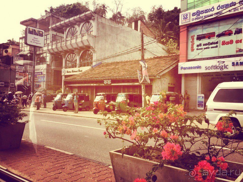 Цейлон или Благословенная земля Шри Ланка