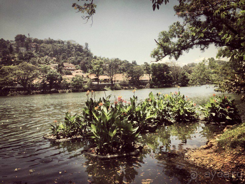 Цейлон или Благословенная земля Шри Ланка