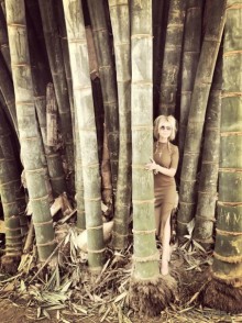 Цейлон или Благословенная земля Шри Ланка