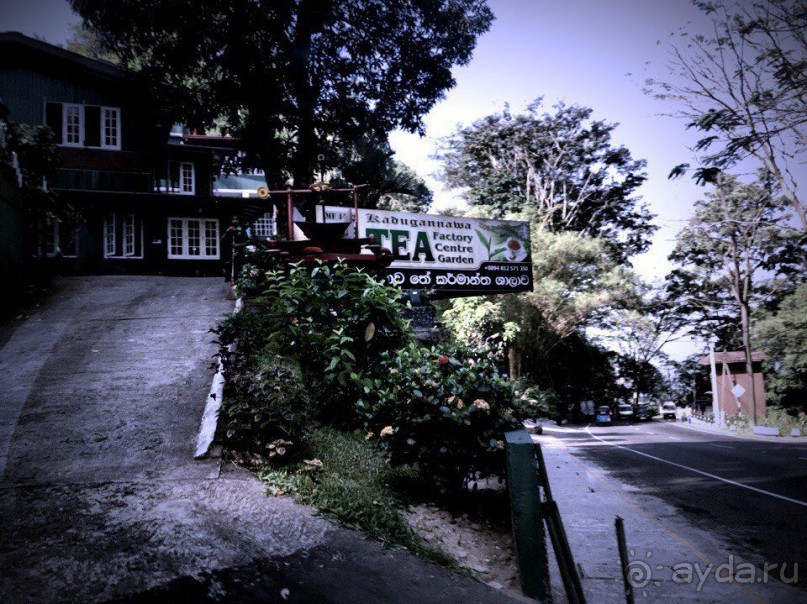 Цейлон или Благословенная земля Шри Ланка