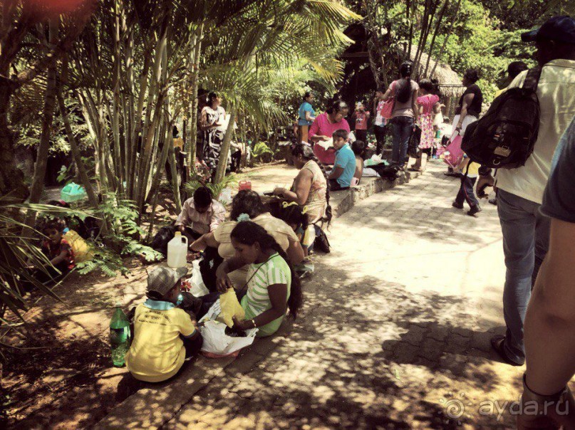 Цейлон или Благословенная земля Шри Ланка