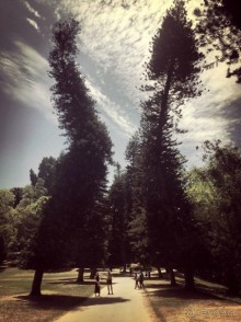 Цейлон или Благословенная земля Шри Ланка