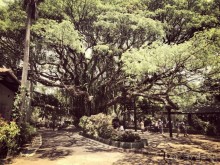 Цейлон или Благословенная земля Шри Ланка