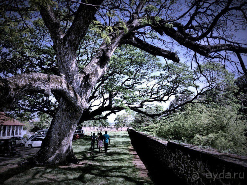 Цейлон или Благословенная земля Шри Ланка