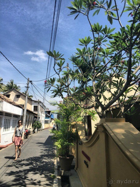 Цейлон или Благословенная земля Шри Ланка