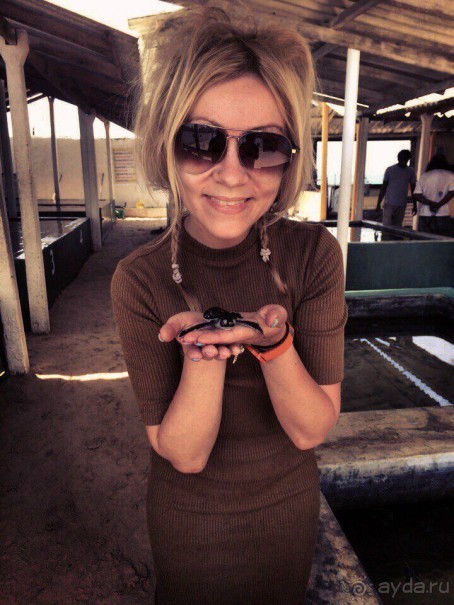 Цейлон или Благословенная земля Шри Ланка