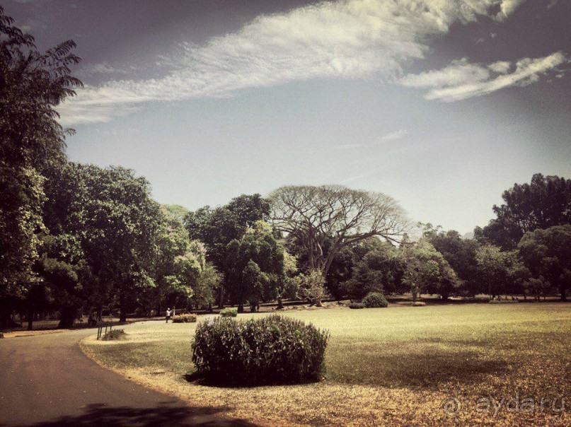 Цейлон или Благословенная земля Шри Ланка