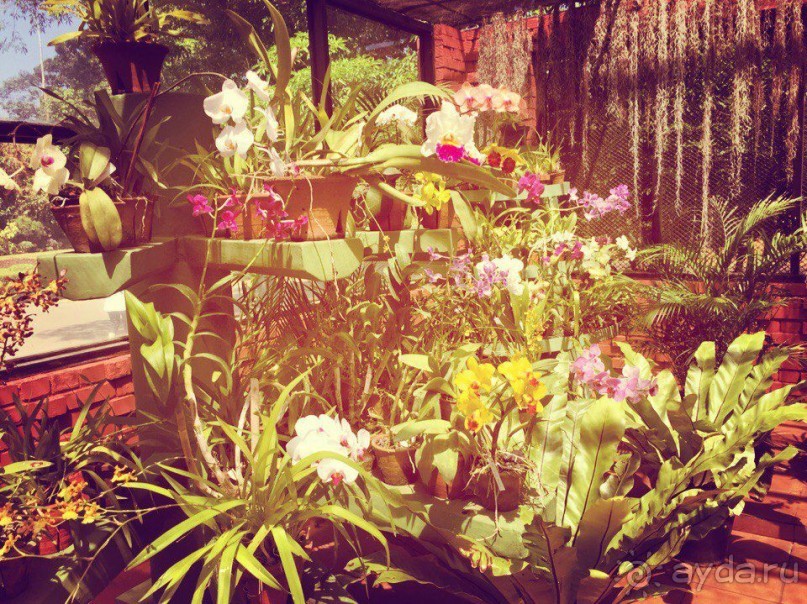 Цейлон или Благословенная земля Шри Ланка