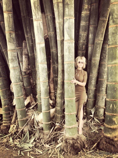 Цейлон или Благословенная земля Шри Ланка