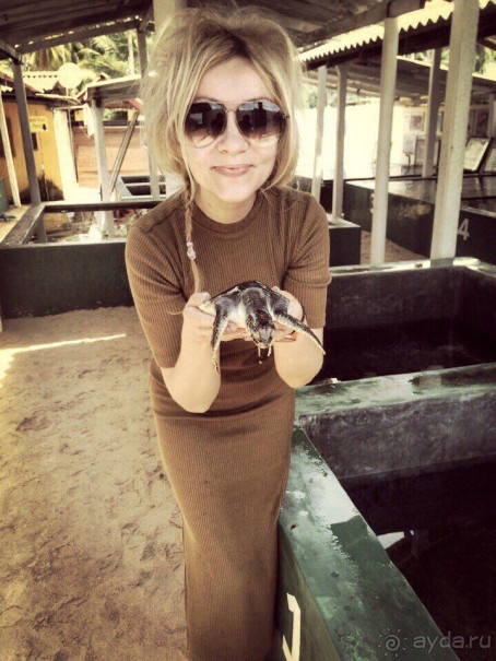 Цейлон или Благословенная земля Шри Ланка