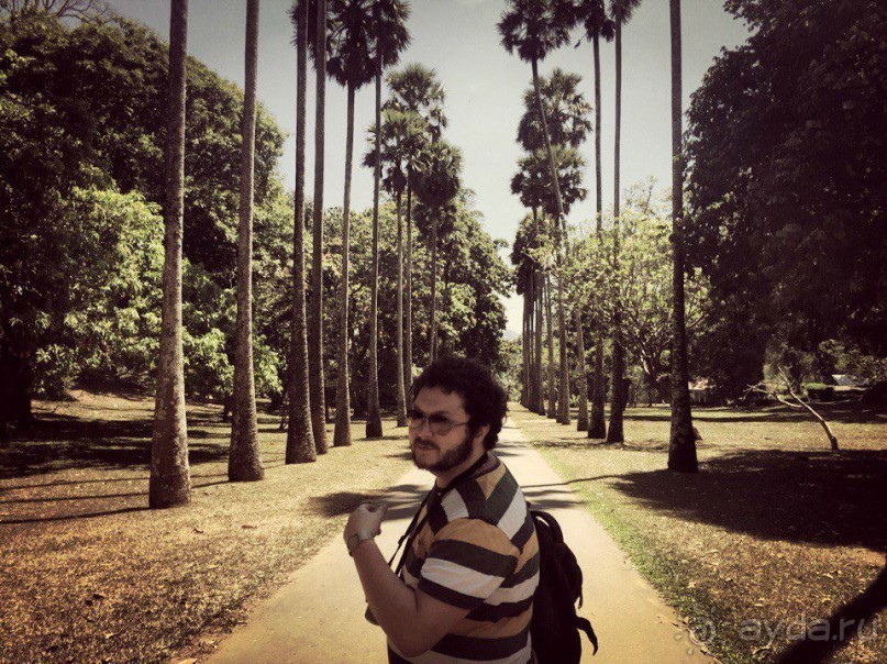 Цейлон или Благословенная земля Шри Ланка