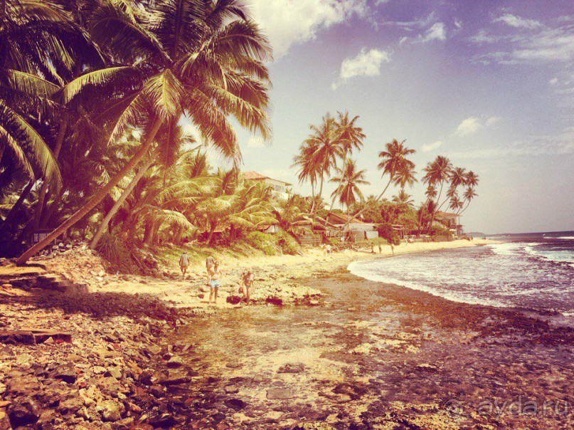 Цейлон или Благословенная земля Шри Ланка