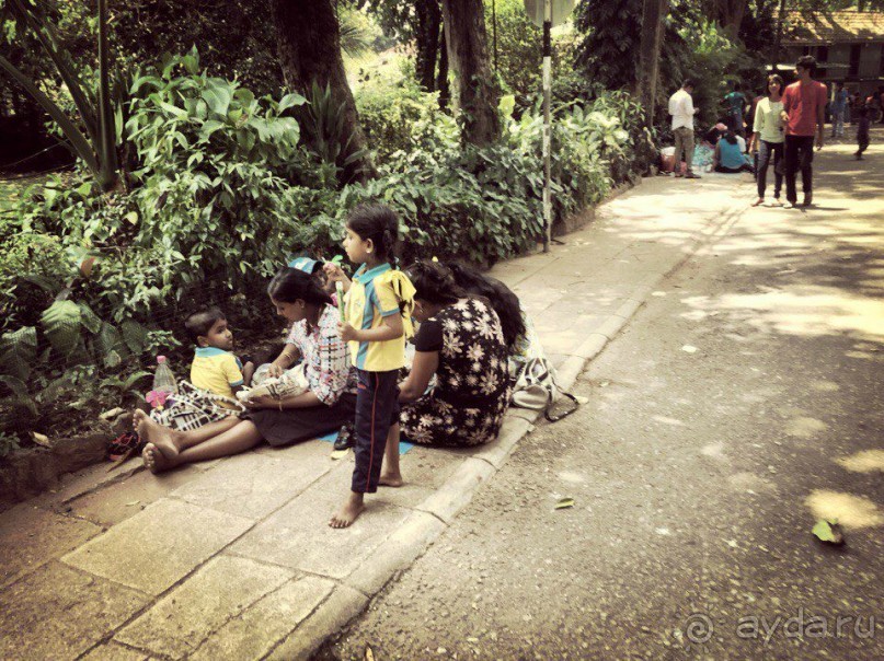 Цейлон или Благословенная земля Шри Ланка