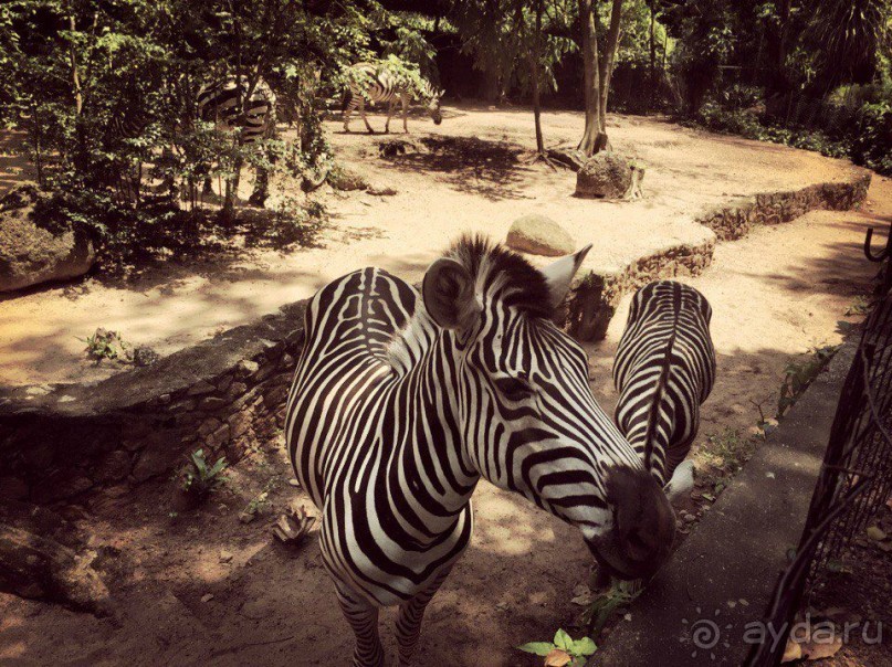 Цейлон или Благословенная земля Шри Ланка