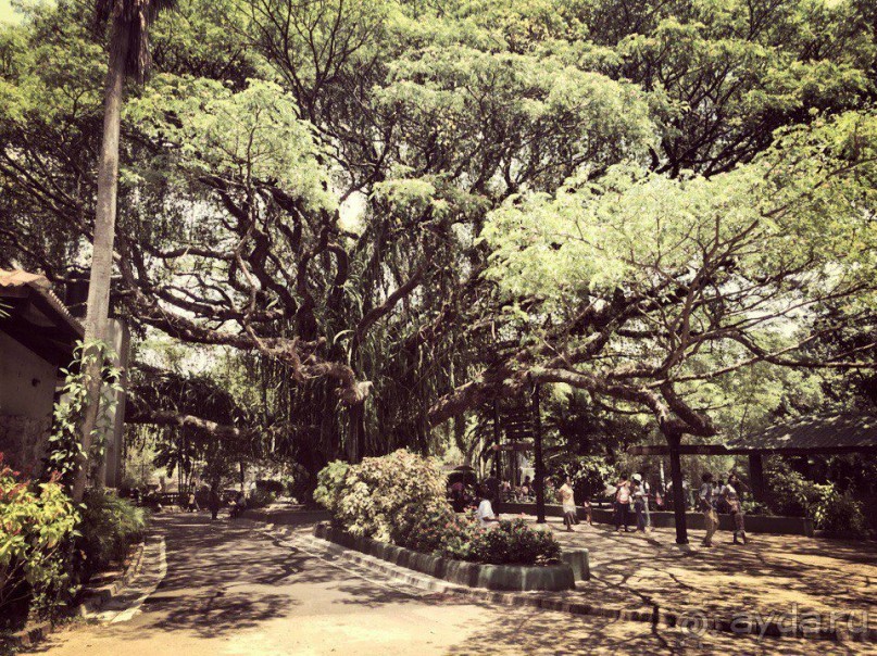 Цейлон или Благословенная земля Шри Ланка