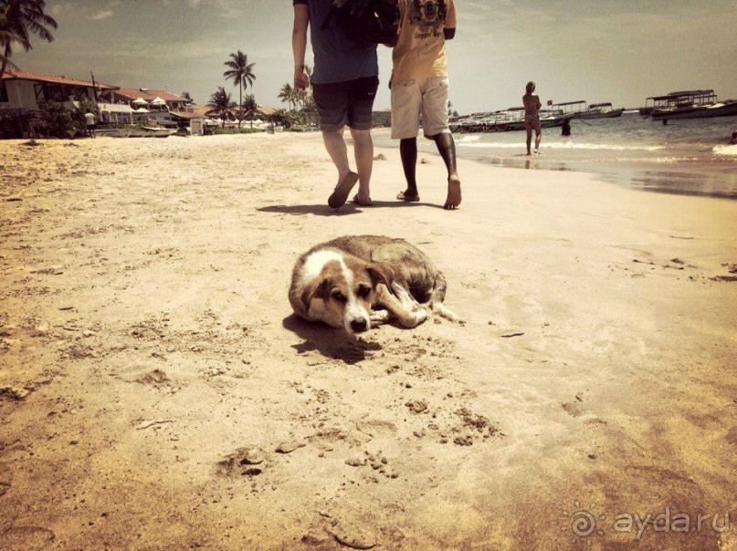 Цейлон или Благословенная земля Шри Ланка