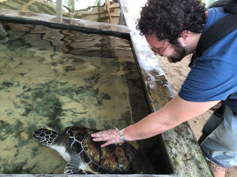 Цейлон или Благословенная земля Шри Ланка