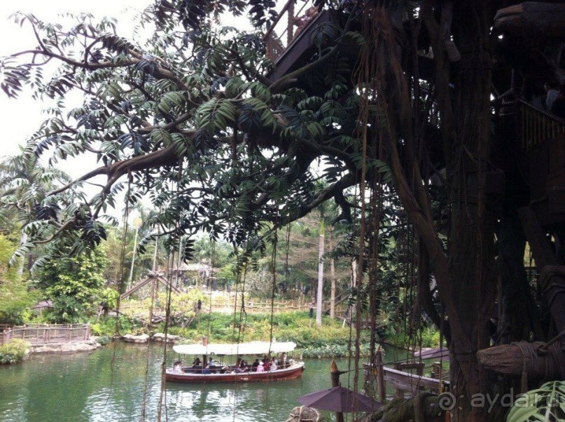 Гонконг: с ног на голову или 7 незабываемых ощущений наоборот