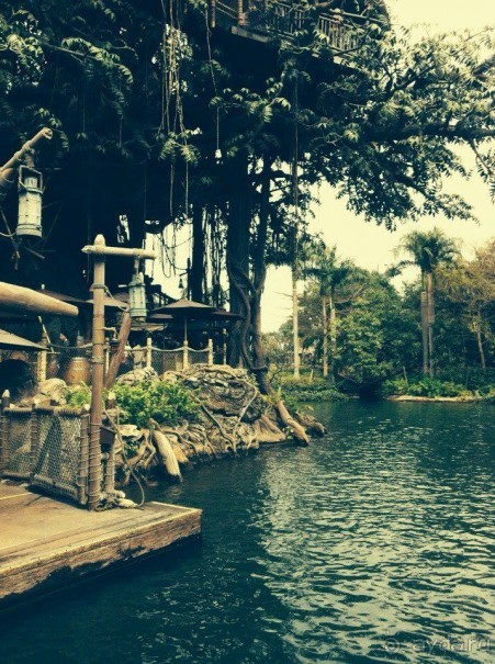 Гонконг: с ног на голову или 7 незабываемых ощущений наоборот