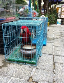 Гонконг: с ног на голову или 7 незабываемых ощущений наоборот