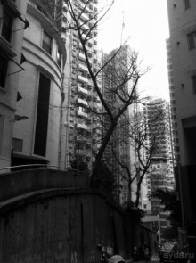 Гонконг: с ног на голову или 7 незабываемых ощущений наоборот