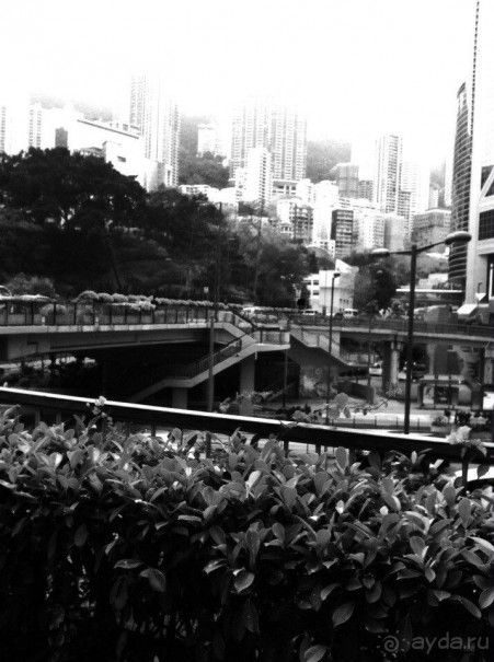 Гонконг: с ног на голову или 7 незабываемых ощущений наоборот