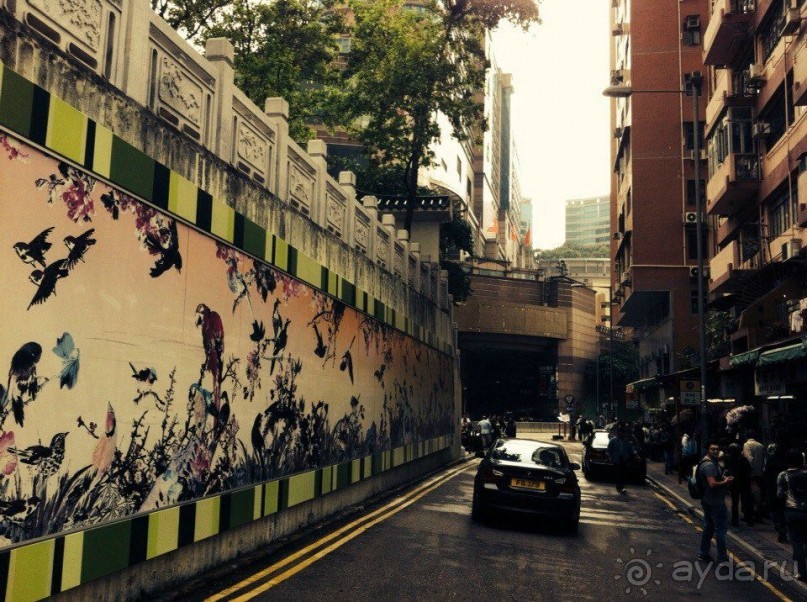 Гонконг: с ног на голову или 7 незабываемых ощущений наоборот