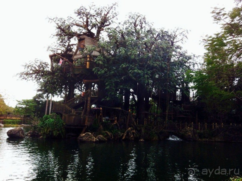 фото Гонконга