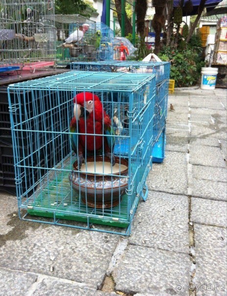 Гонконг: с ног на голову или 7 незабываемых ощущений наоборот