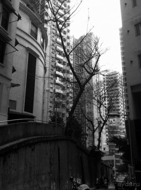 Гонконг: с ног на голову или 7 незабываемых ощущений наоборот