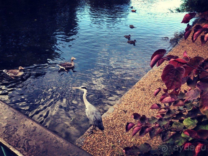 Я НЕ уеду жить в Лондон, мне Москва будет сниться..