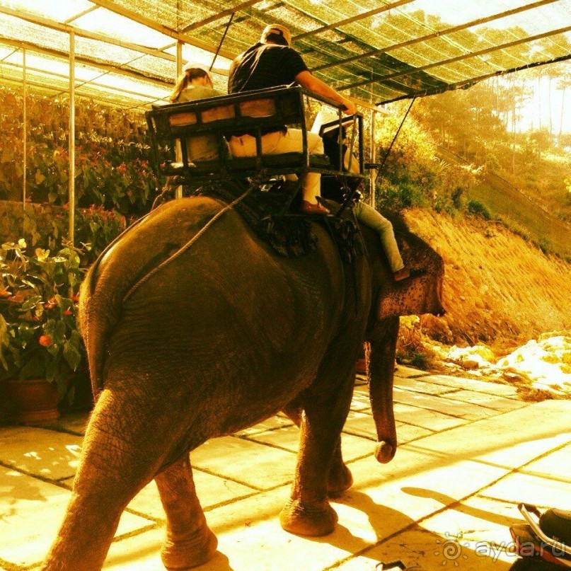 фото Hai Au Mui Ne Beach Resort & Spa