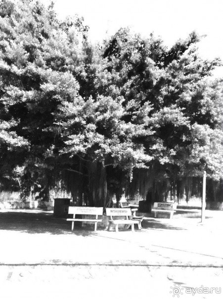 фото Hai Au Mui Ne Beach Resort & Spa