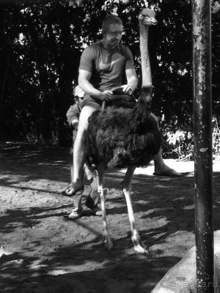 Путеводитель Муйне: forgive never, forget yes