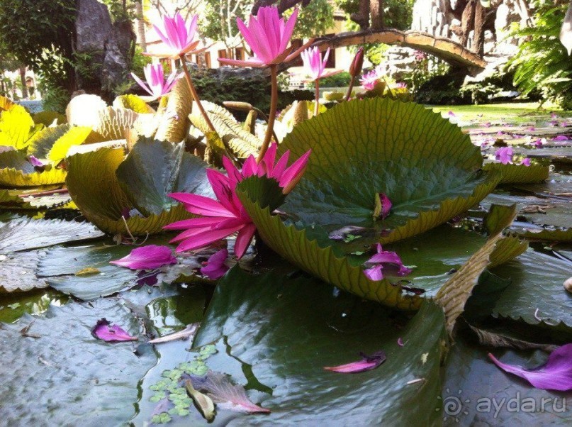 Путеводитель Муйне: forgive never, forget yes