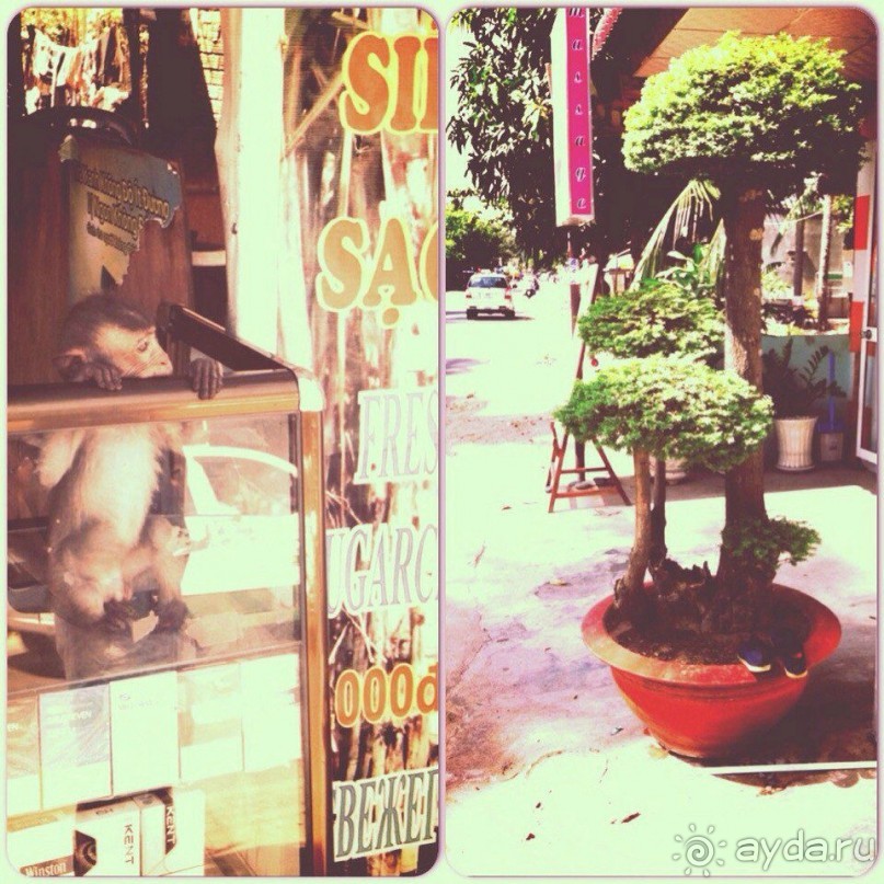 Путеводитель Муйне: forgive never, forget yes