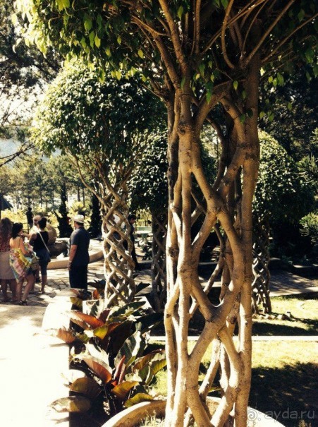 Путеводитель Муйне: forgive never, forget yes