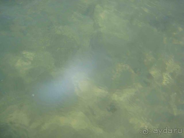 Неплохой отель без моря.