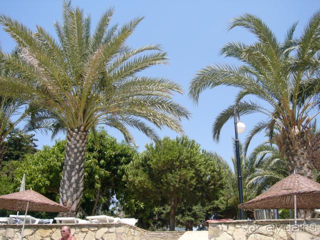 фото Alara Park & Residence Hotel