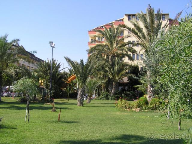 фото Corona Rodier