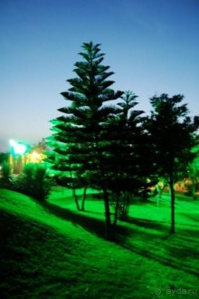 10 ДНЕЙ НИРВАНЫ